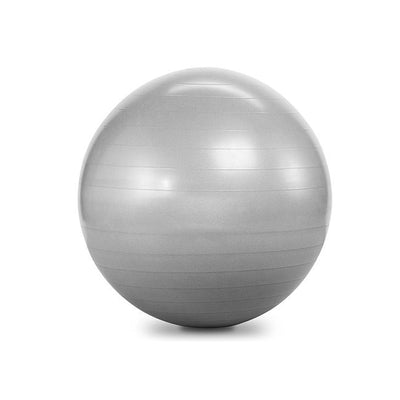 Stability Balls - Commercial Grade